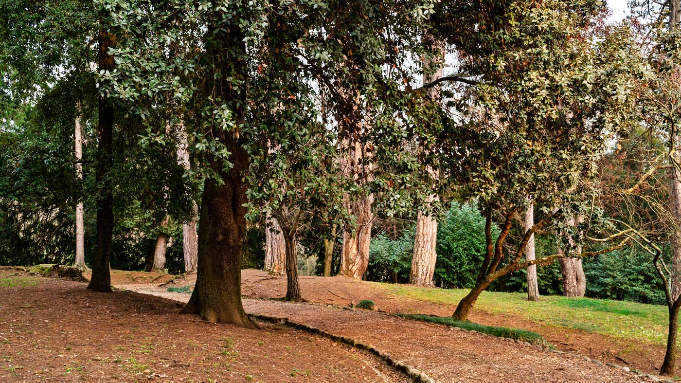 Il Parco Secolare di Villa Godi Malinverni
