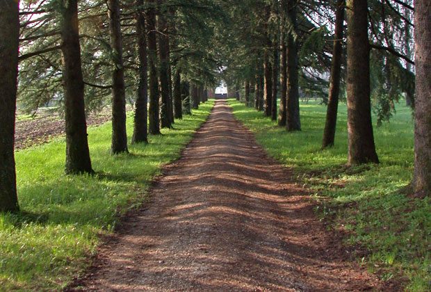 Parco Villa Godi Malinverni Vicenza